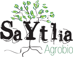 logo Saytlia