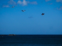 f088300