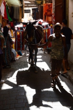 Rue de la médina de Fes