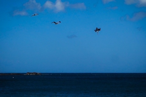 f088300